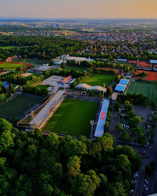 执行力和关 执行力和关