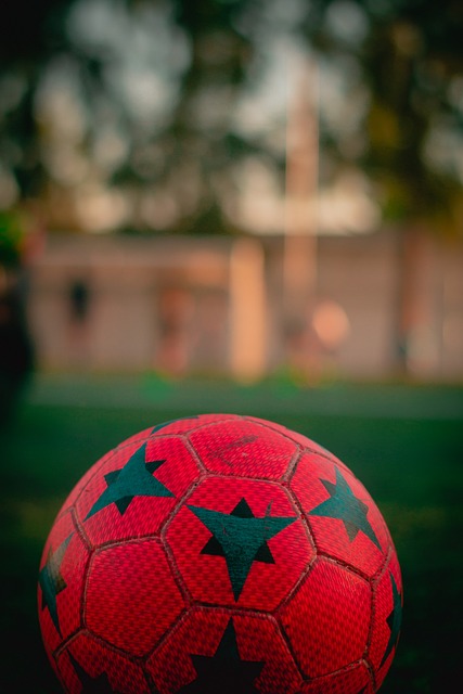 通机制尤为 通机制尤为