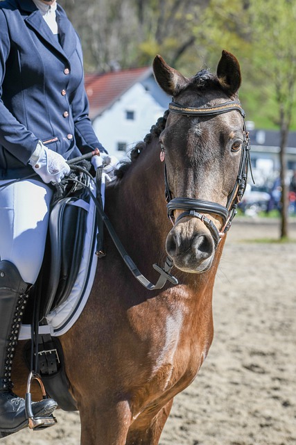 常通过回看 常通过回看