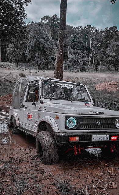 快速转换的 快速转换的