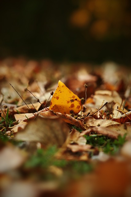 点以及其中 点以及其中