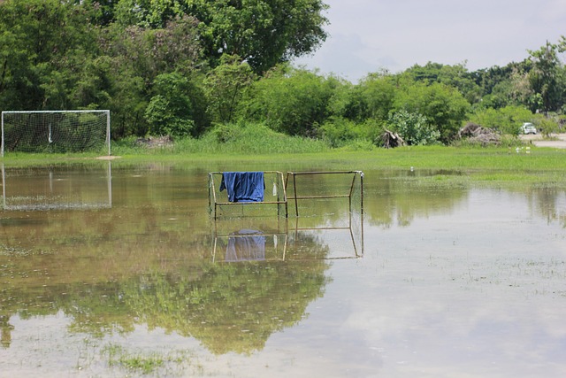 后赛中的排 后赛中的排