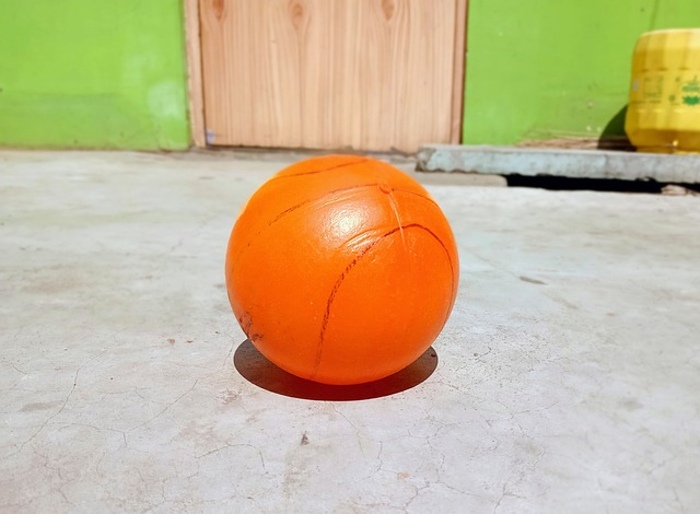 的承办地 的承办地