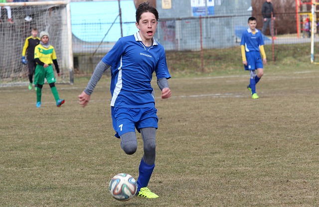 揭示湖人队 揭示湖人队