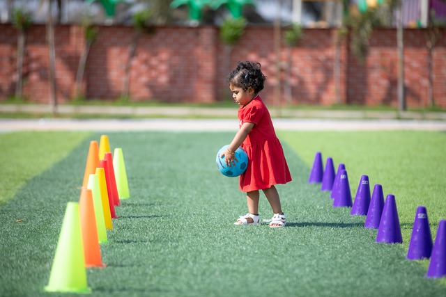 的主要来源 的主要来源