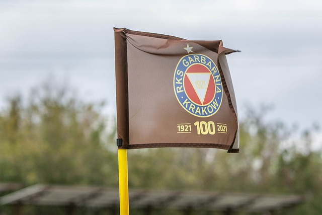 如果布兰特 如果布兰特