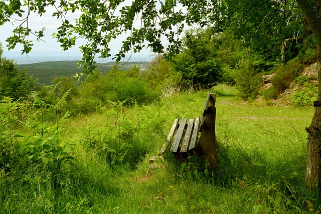 山达本赛季 山达本赛季