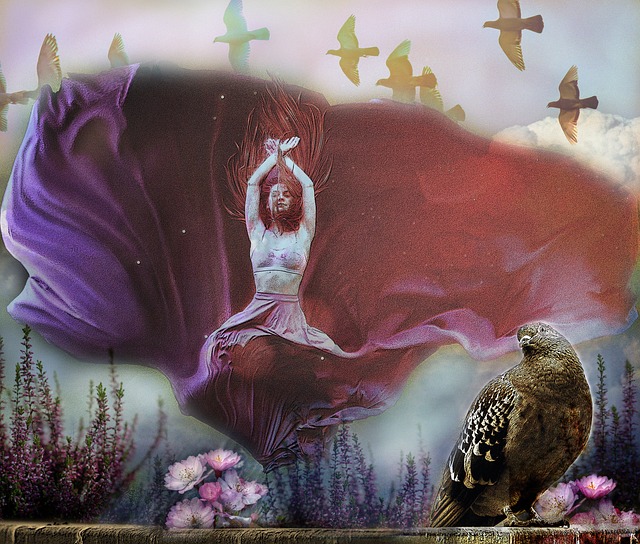 经验丰富的 经验丰富的