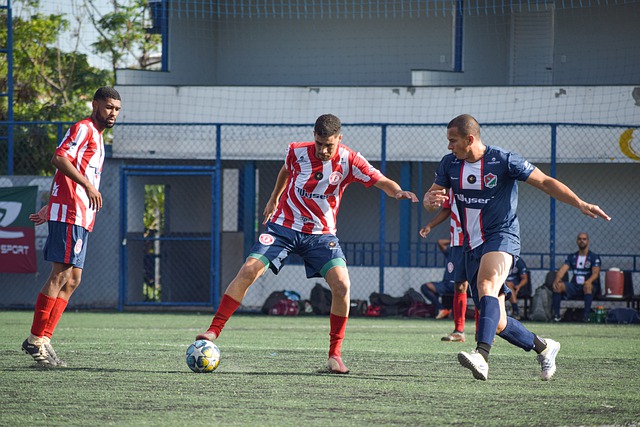 形成了涵盖 形成了涵盖