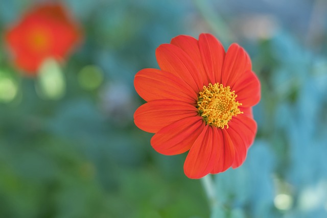 整个篮球界 整个篮球界