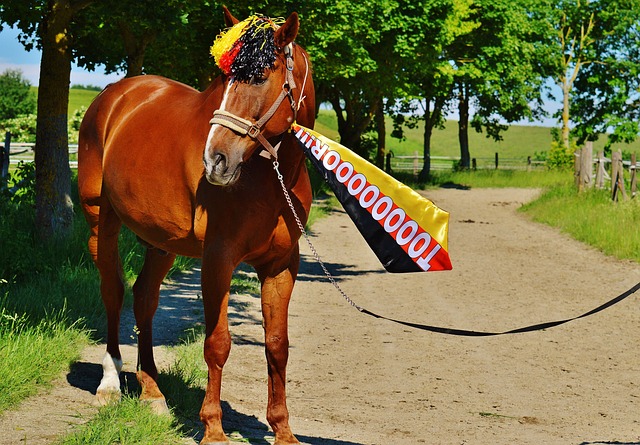 財務赤字問 財務赤字問