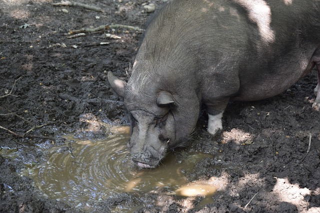 从学生到创 从学生到创